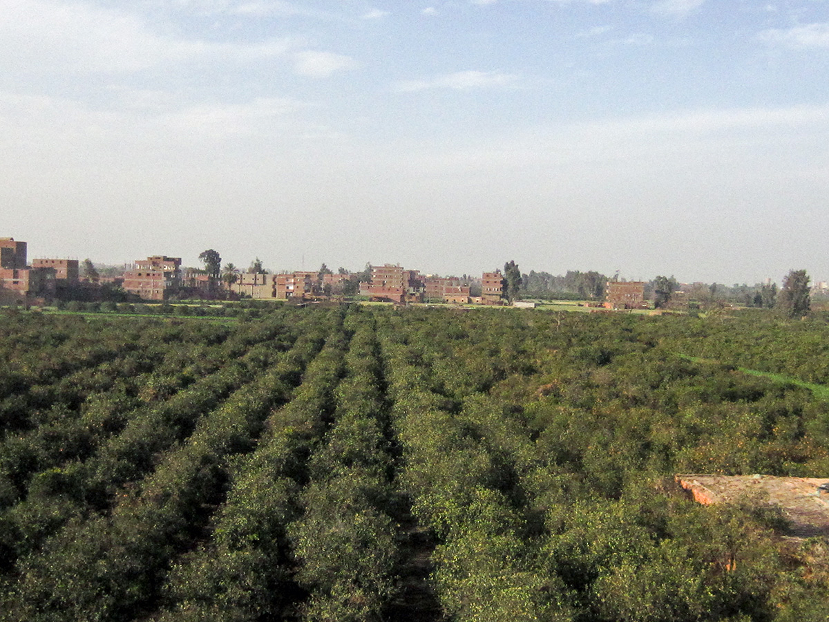 campi1.jpg