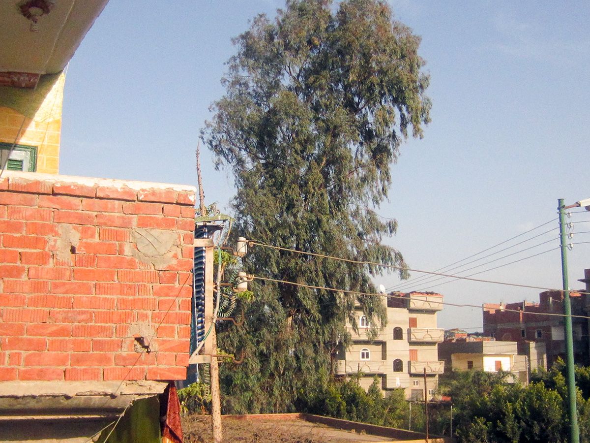 casa ahmed.jpg