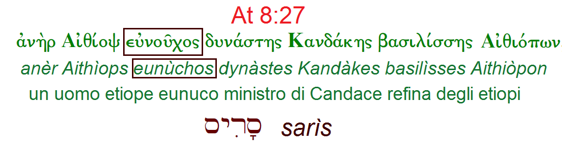 Immagine.png