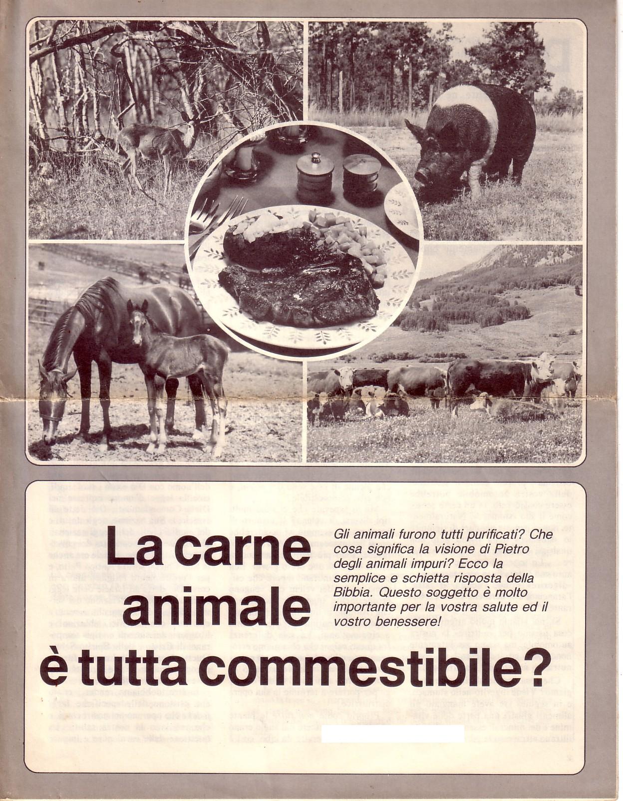 Carni impure - 1.jpg