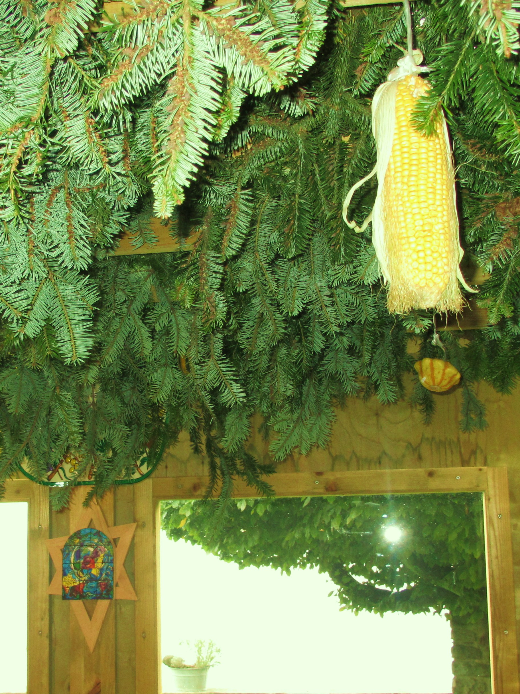 succot 005.JPG