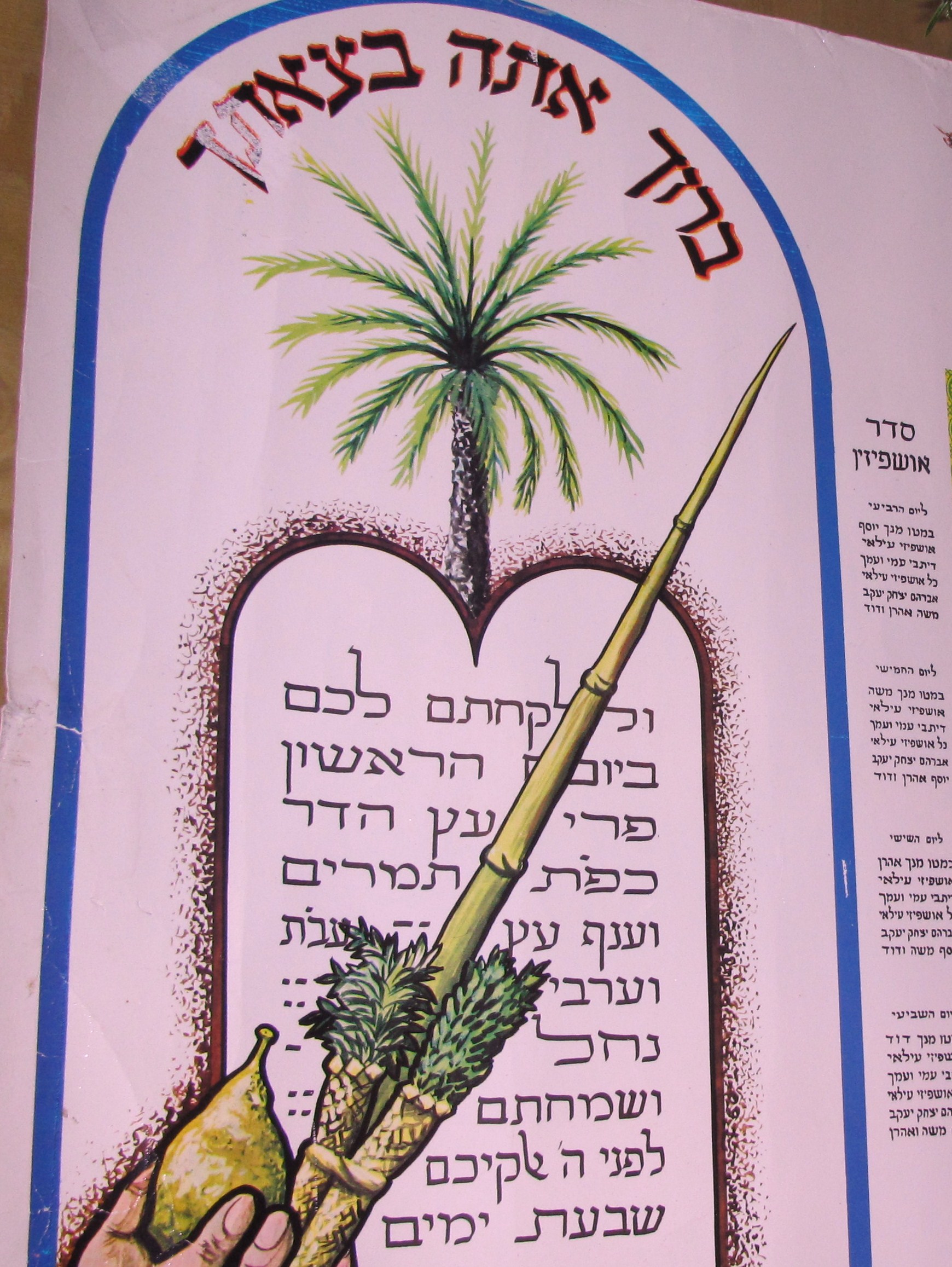 succot 007.JPG