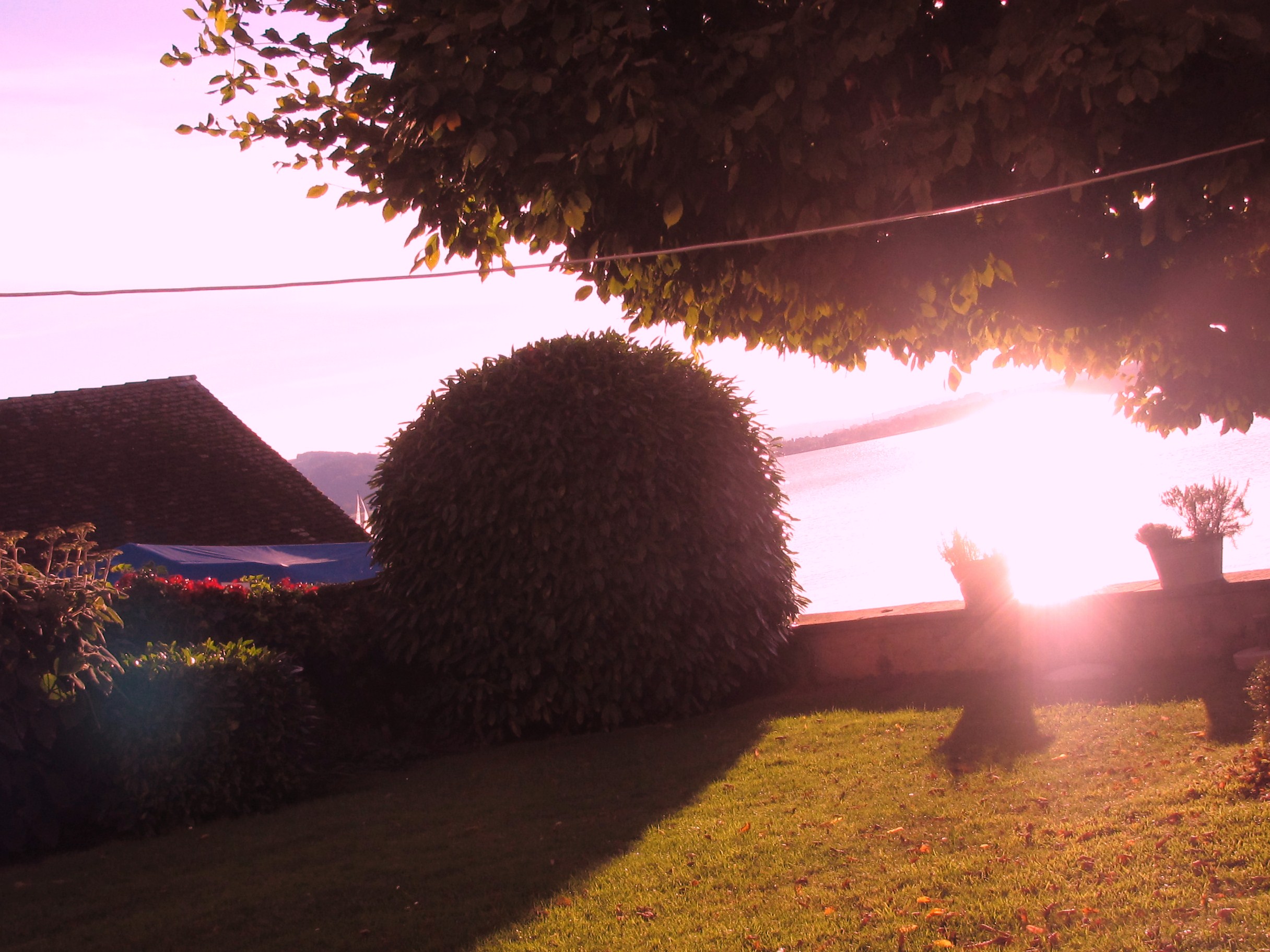 lago 012.JPG