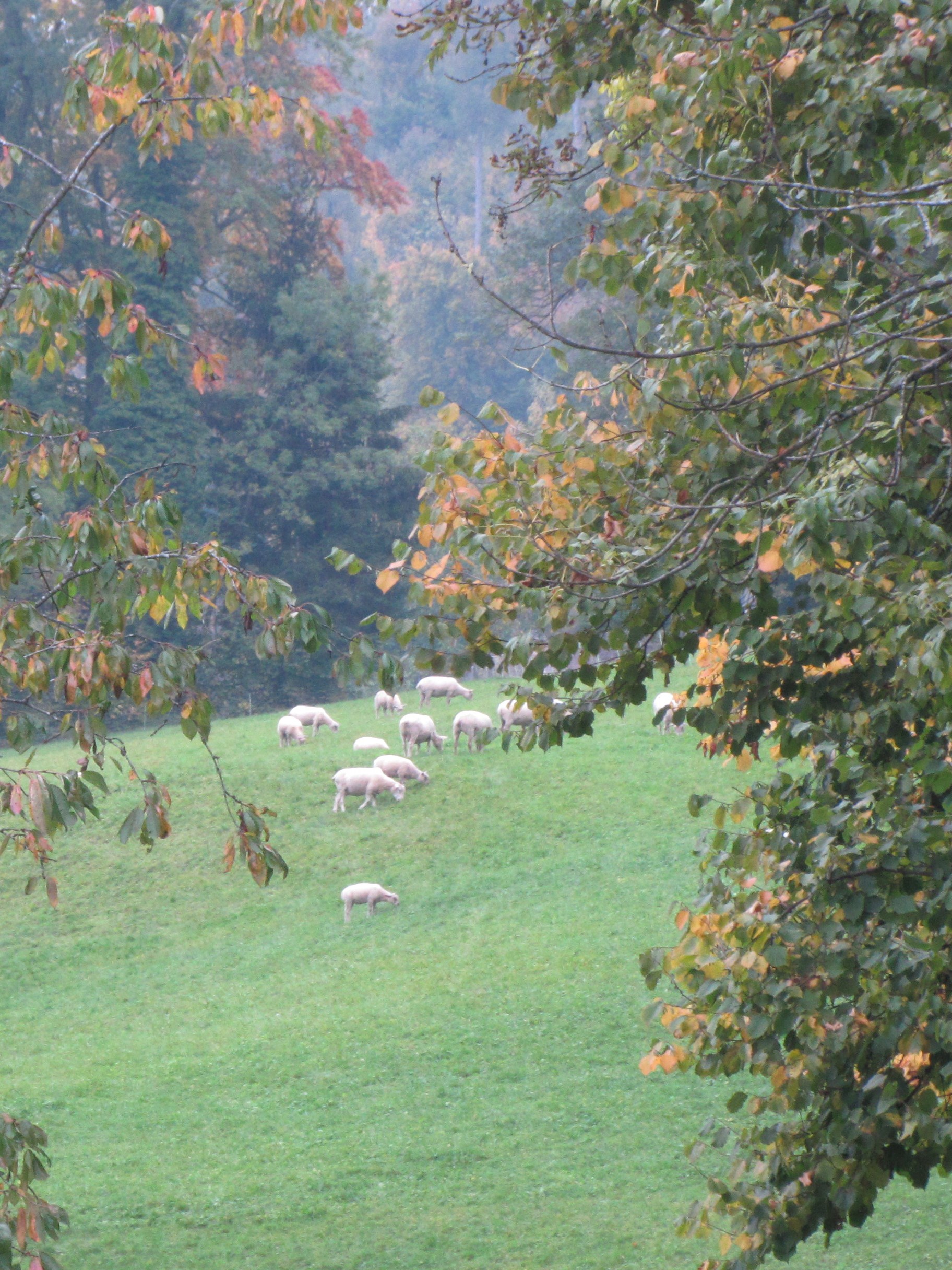 montagna 024.JPG